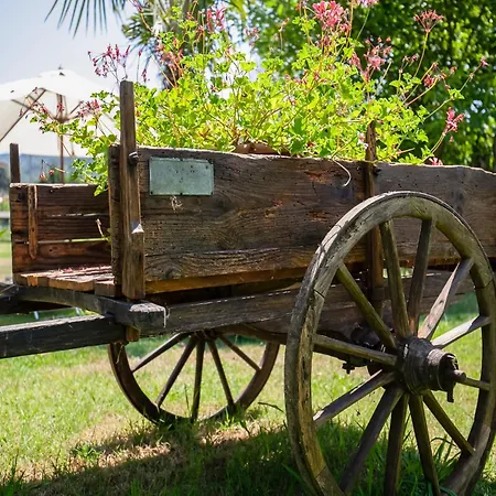With Garden Near Versilia * Camaiore