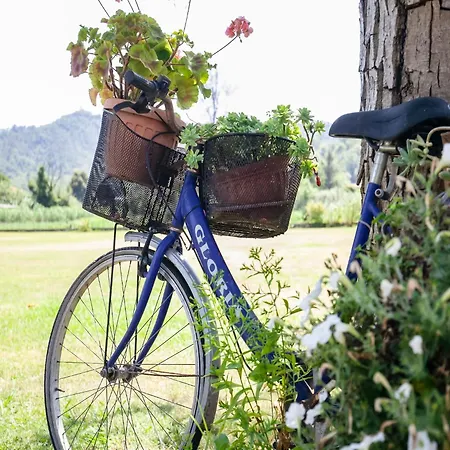 With Garden Near Versilia Villa *