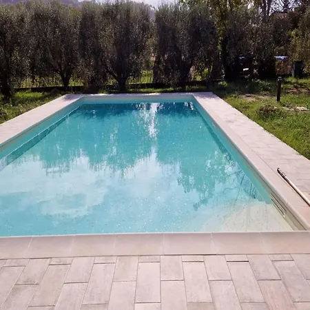 With Garden Near Versilia *